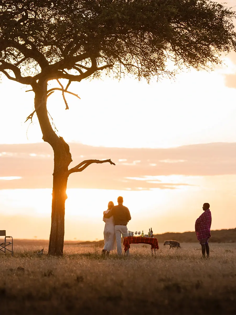 A couple watching the sunset from beneath a lone acacia tree
