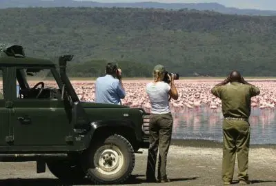 Guests and a guide photographing flamingos from a safari Land Cruiser at the lake shore