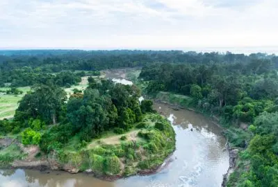 Aerial view of the Mara River winding through riverine forest