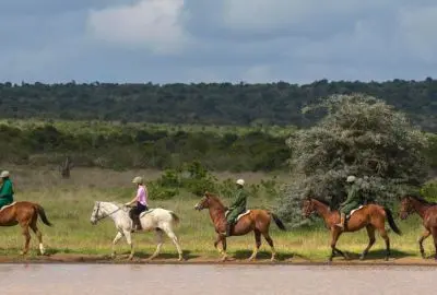 Riders on horseback crossing the grasslands of Loisaba Conservancy