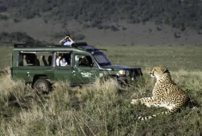 Cheetah resting in the grass beside a vehicle of safari photographers
