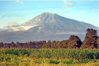 Mount Meru rising above maize fields on the road out of Arusha