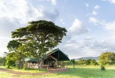 Guest tent beneath a flat-topped acacia at Governors’ Camp