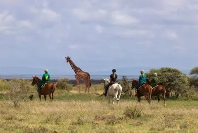 Riders on horseback watching a giraffe on the Loisaba Conservancy