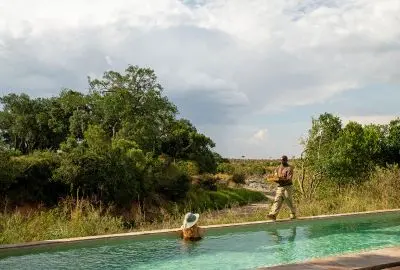 Guide walking beside the pool at Sand River Masai Mara, framed by riverine trees