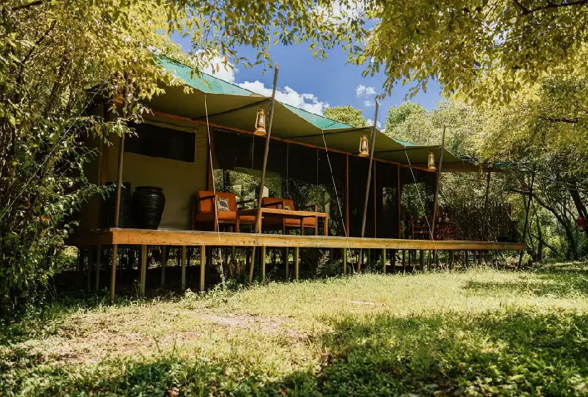 Raised safari tent with a wooden deck among trees in the Masai Mara