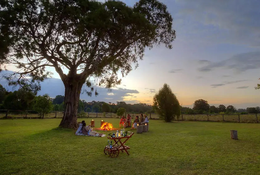 Sundowner fire and picnic under a broad flat-topped tree on the lawns at sunset