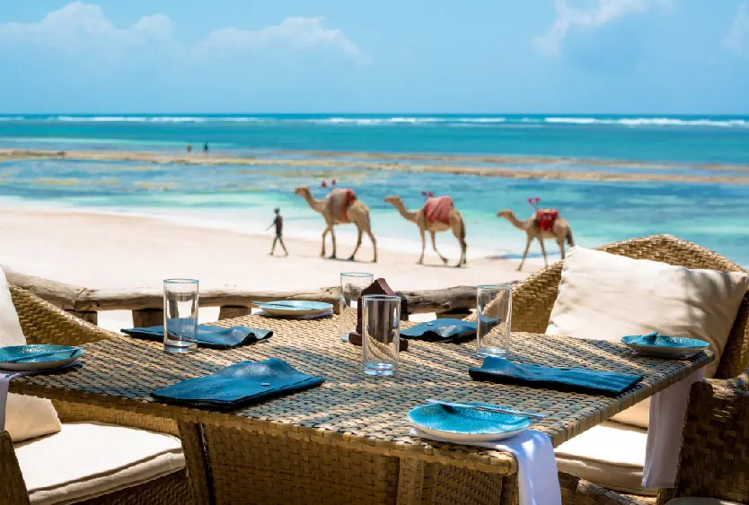 Beachfront table laid for lunch as camels pass along the white sand